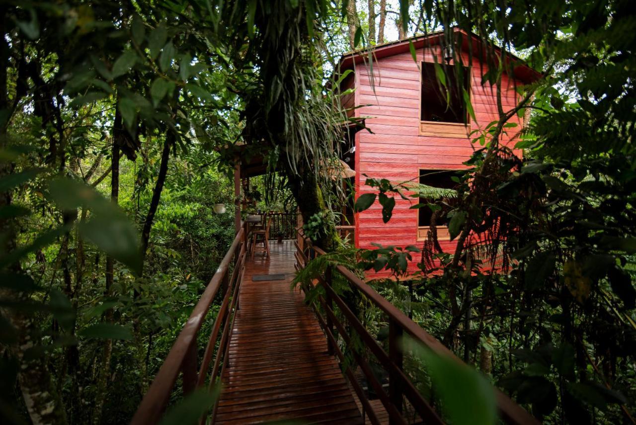 Neira Tominejo Ecolodge - Casas En Los Arboles מראה חיצוני תמונה