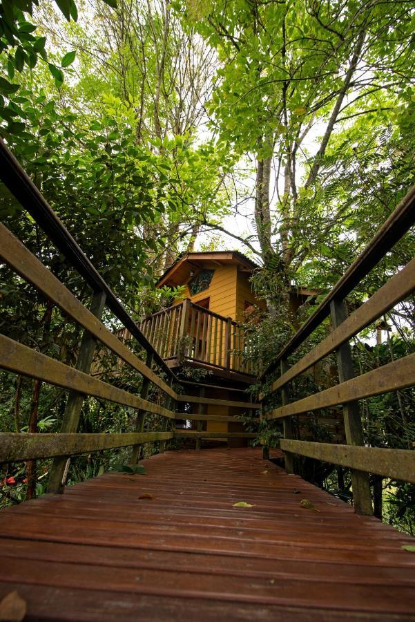 Neira Tominejo Ecolodge - Casas En Los Arboles מראה חיצוני תמונה